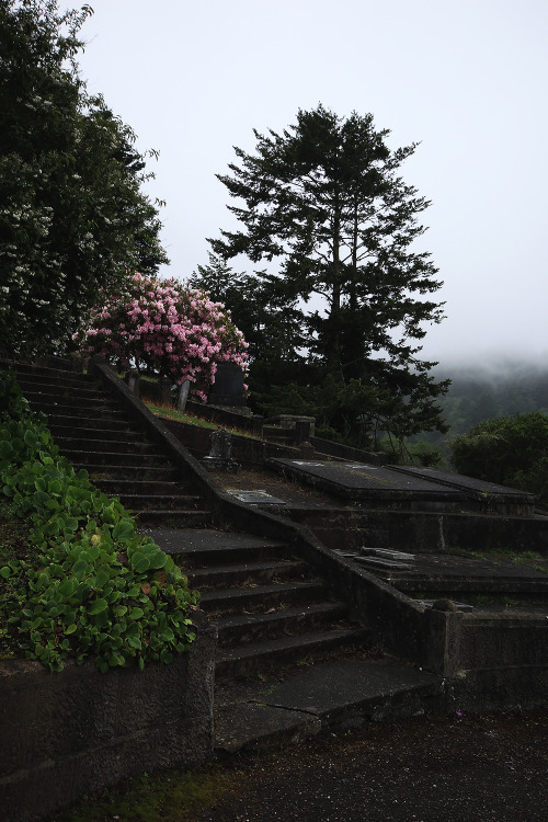 garettphotography:  Ferndale Cemetery | GarettPhotography 