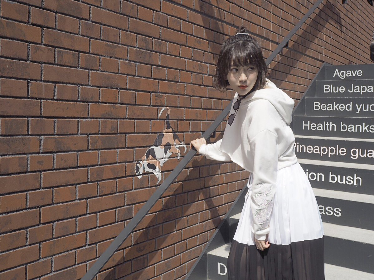 hkt48g: Sakura
