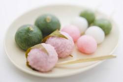 atmeal012:Wagashi（和菓子）Japanese confectionery in spring