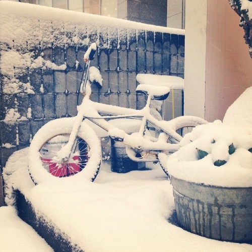 h-m-h:  #snow #harajyuku #tokyo #japan #bike #thegreatburger