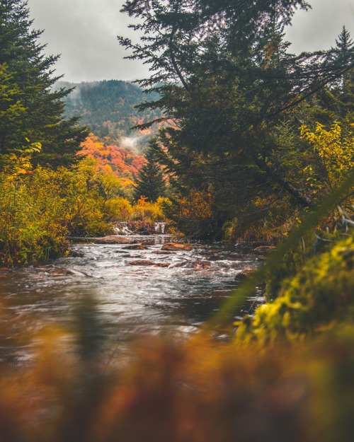 90377:beaver meadow tight by Aryk Tomlinson