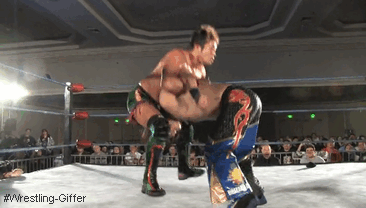Wrestling Giffer