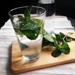 vegete:  mintwater 🌿 