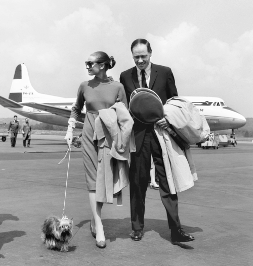 Audrey Hepburn and husband Mel Ferrer (and little dog Mr. Famous) arriving at the Zurich airport, 19