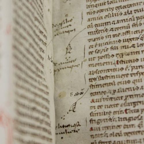 muspeccoll:#ManuscriptMonday: tiny #manicula in the margins of a Latin Bible copied in Italy sometim