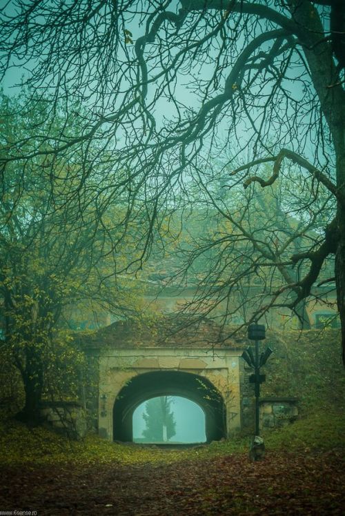 tselentis-arch:  Cluj-Napoca, Romania [+] Photo: Zoltan Zelenyak, via bluepueblo Romania