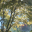 everythingintheforest