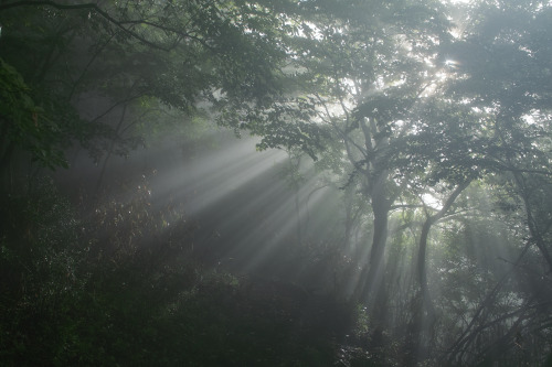 qock: Doushi-mura, Yamanashi Prefecture, JP by 8OG