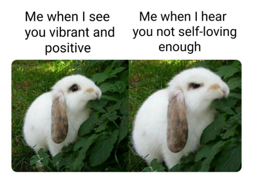 pensivebuggo: ggtheeevee: joeymarahart: memeuplift: Follow @memeuplift​ for more wholesome memes D