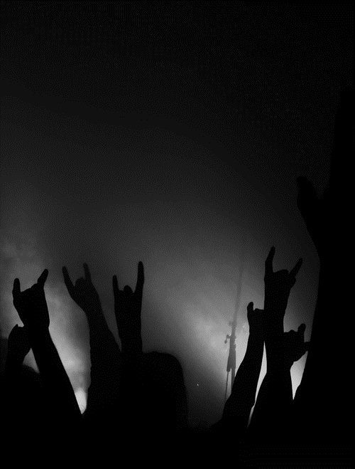 Virgins - Suicides