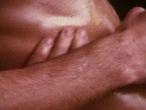 pierppasolini: Glitterbug (1994) // dir. Derek Jarman  