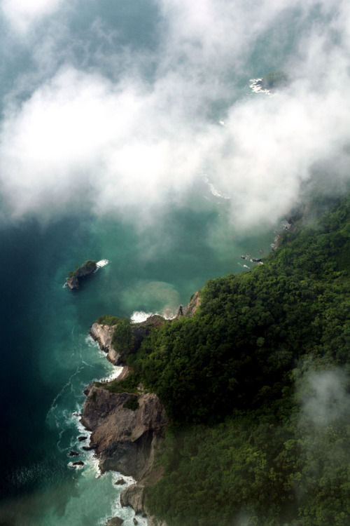 pleoros:  Costa rica 