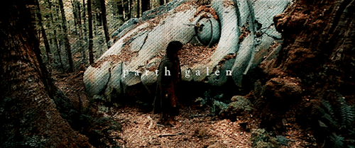 al-khuffash-gifs:The Lord of the Rings: The Fellowship of the Ring - The Complete Recordings (Part 4