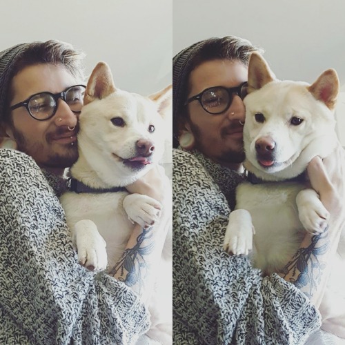 apollo-come-home: A good squishy marshmallow