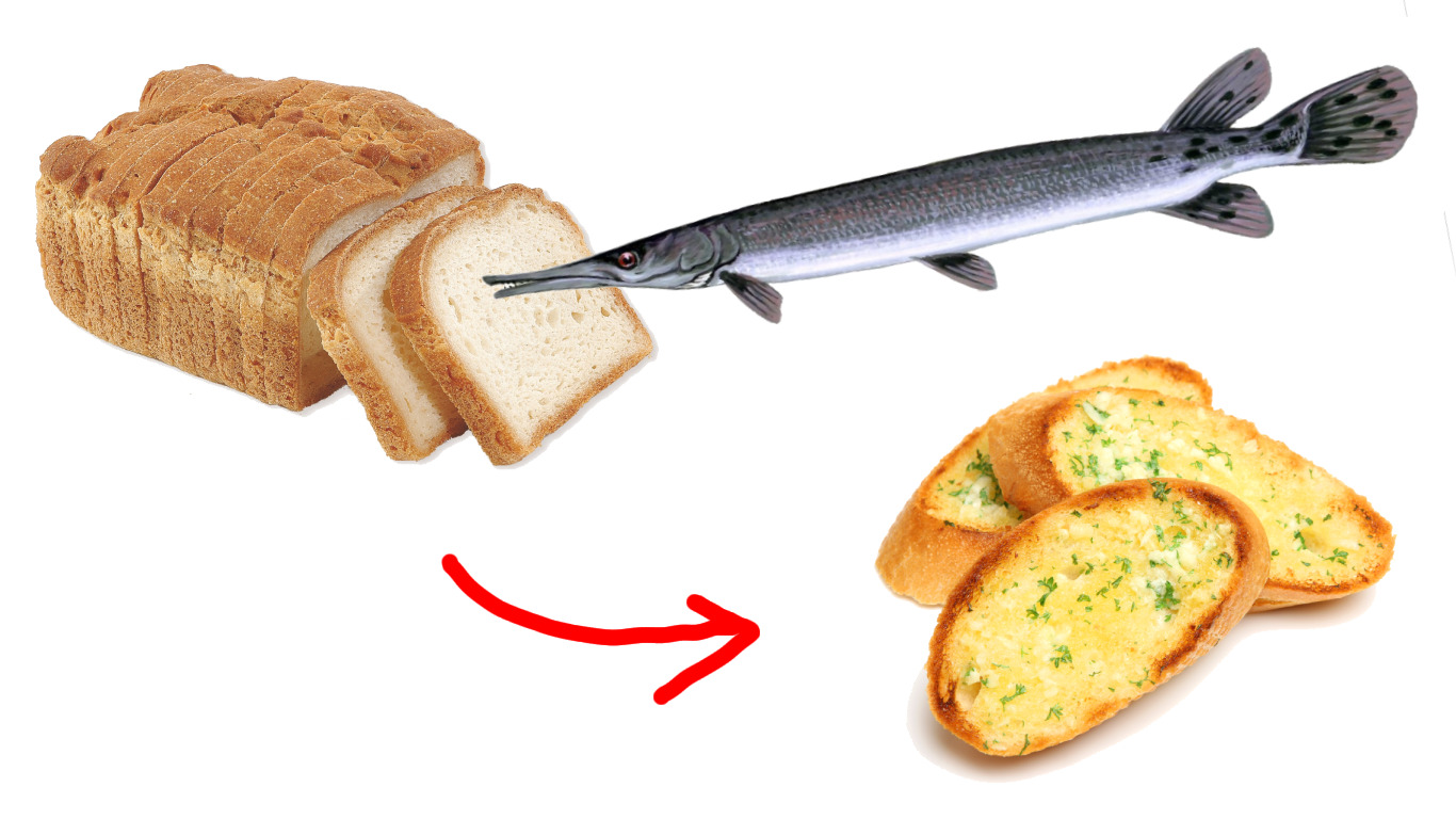 cattycattitude:cattycattitude:You’re telling me a gar* licked this bread?*a North American freshwater fish of the family LepisosteidaeA helpful visual: