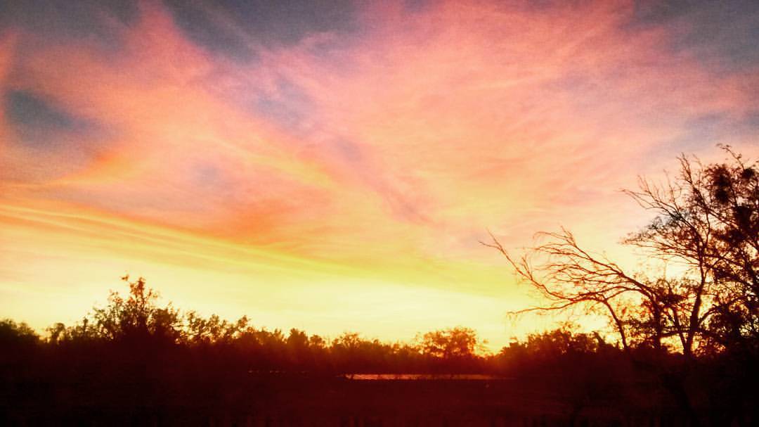 #sunset #arizona #nature #silhouette