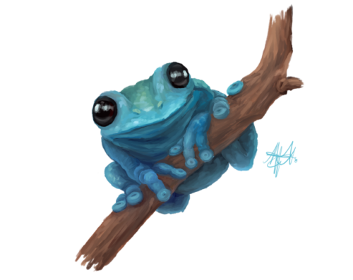 epikowlofficial:a study in frog Y’all really like a frog don’t you