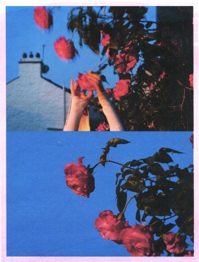 janasojka:Pick roses at night. 