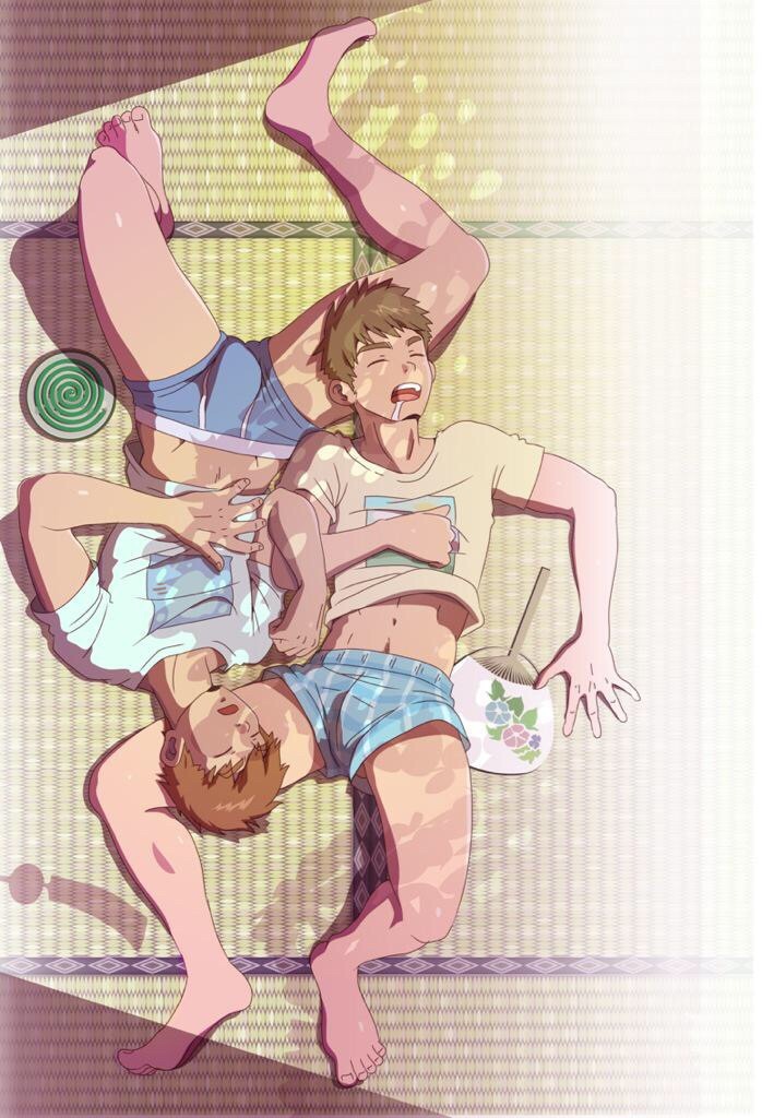 Bara-IVS