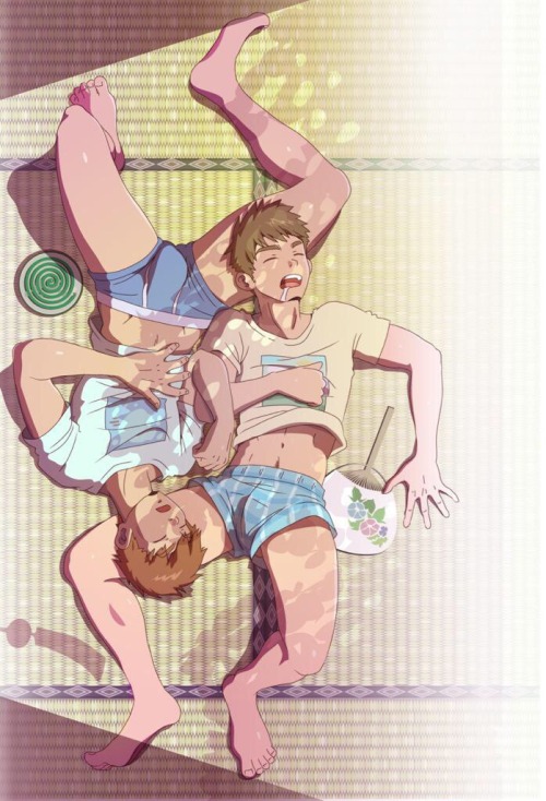 Bara-IVS