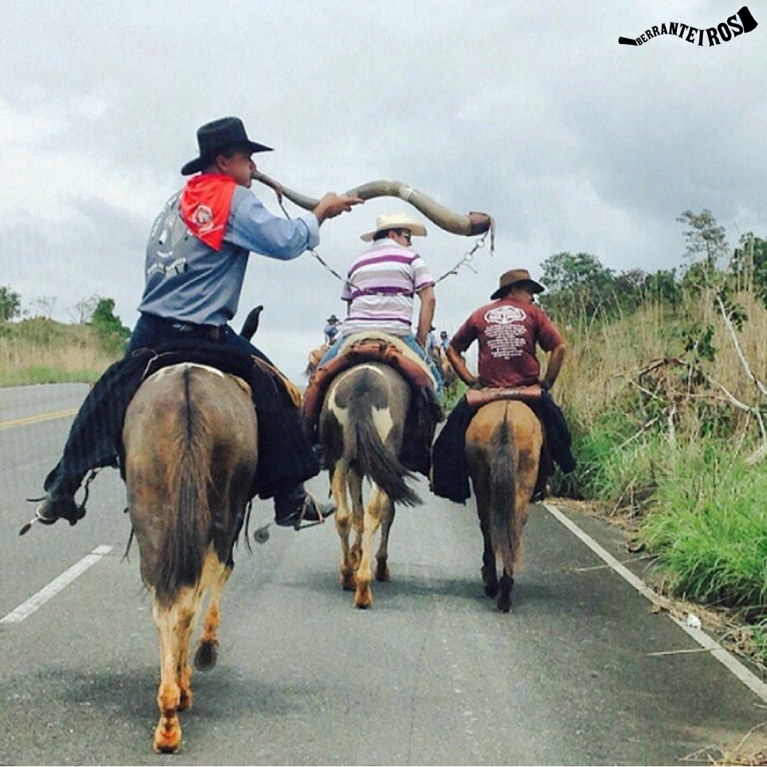 Comitiva de peão de boiadeiro em Mato Grosso do Sul, Stock image