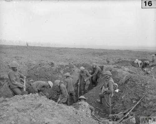  © IWM (Q 193) Battle of Flers-Courcelette, during the Somme. New Zealanders making a trench by join