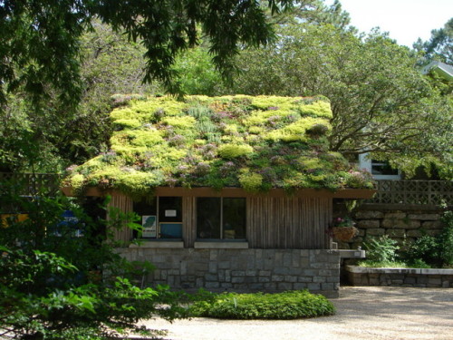 Green roof! Photo from Flickr by Jim Brickett at the Norfolk Botanical Garden