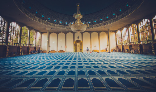 amateurphototaker: Golden Hour at Regent’s Park Mosque