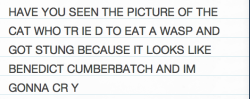 ughsherlockfandom:  o H MY GOD 