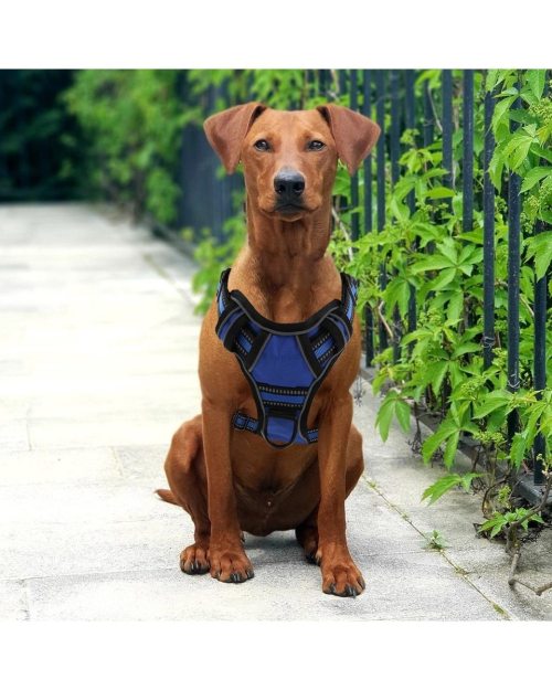 Dog Harness No Pull Breathable Reflective Pet Harness Vest For Small Large Dog www.gearcrazy