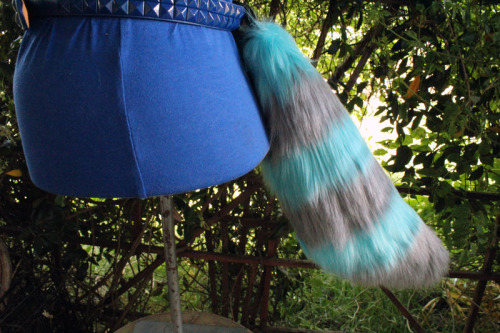 Short Fox TailsBlue Cheshire! We need to get this gray back in stock soon. (:See something you like 