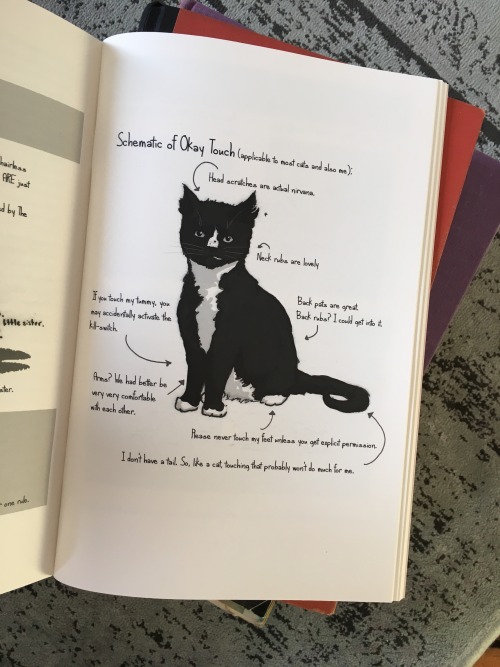 kristinnoeline: I don’t think anyone understands how in love I am with Yes Cats, a ZINE ABOUT 