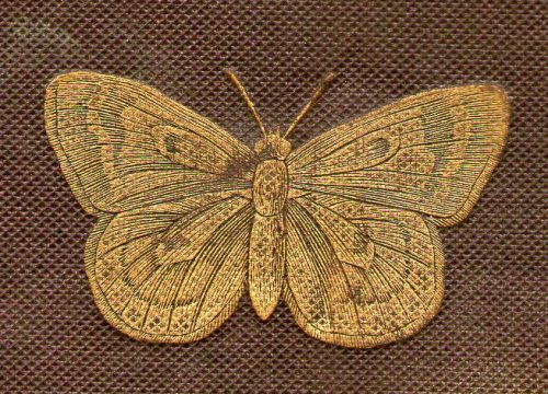 Embossed cloth covers with gilt detailed butterfly design The History of Insects; London 1842