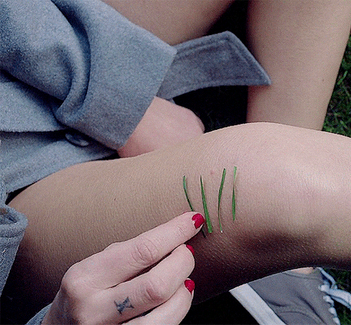 dcbicki:💦 31 DAYS OF SPOOKTOBER ► IT FOLLOWS (2014) dir. David Robert Mitchell—