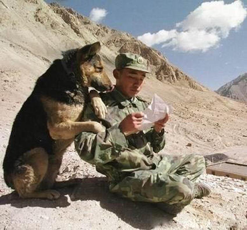 awwww-cute:  Two Soldiers reading a letter from home