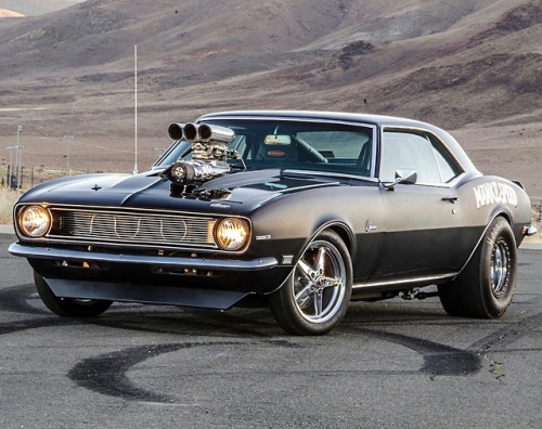 utwo:  1968 Prostreet Camaro© steve temple