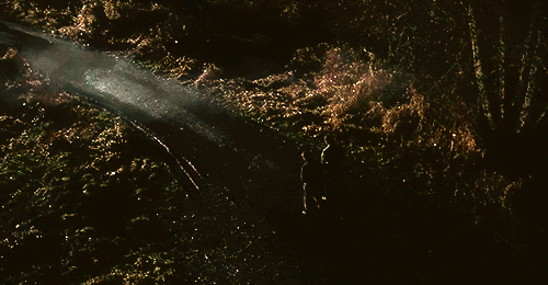 frozen-delight: SPN Scenery: Walking!chesters