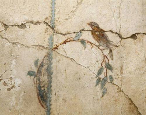 nature-and-culture:Mural painting, Pompei