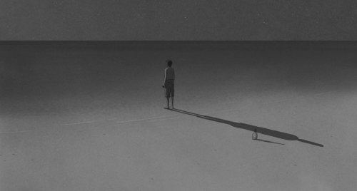 tepitome:The Red Turtle (2016)