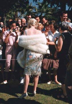 cynema: Marilyn Monroe signing autographs