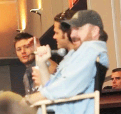 confessionsofastendanite:  Jared got gum on his coffee lid and Jensen was clearly