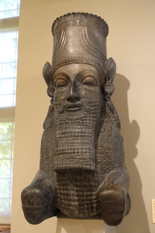 Column capital in the shape of a man-bull hybrid, from the palace of Xerxes I (r. 486-465 BCE) at Pe