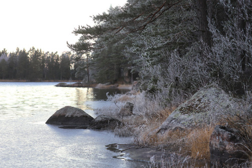 michaelnordeman: Lake Frövettern, Värmland, Sweden.