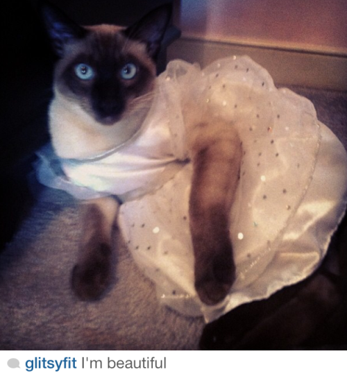 carissasweird:  My friend’s 10 year old cousin has the most amazing instagram. 