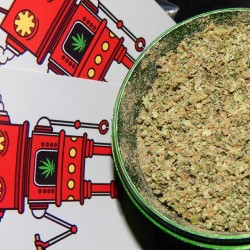 weedporndaily:  Things are getting to spicy for the pepper!  #robotgoodness &amp; #locktite 🔥😍💎❤️ by medicalpandas http://ift.tt/1tq6oRd