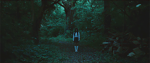 vivisouls:into the woods 