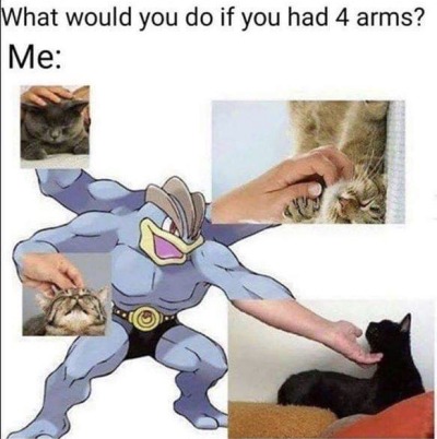 kittens-jpg: