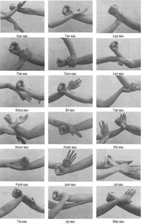 feiyueshoescanada:Wing Chun —Wing Chun is a concept-based Chinese martial art and