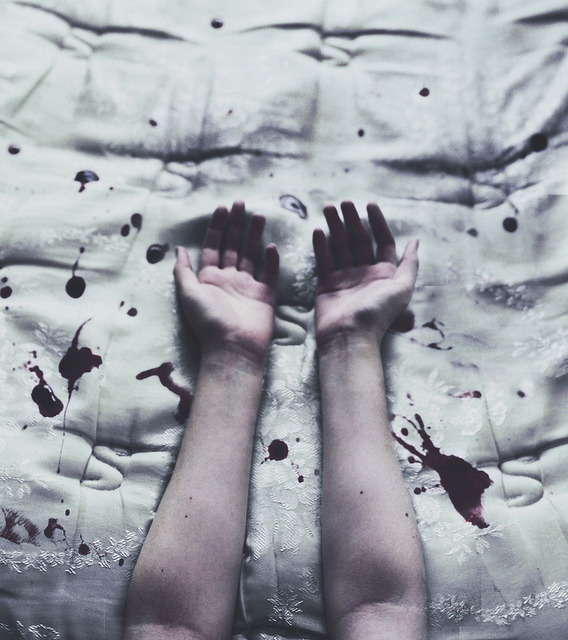 thereisnocomfort:  We Were Made to Never Fall Away by Hailey Heaton  