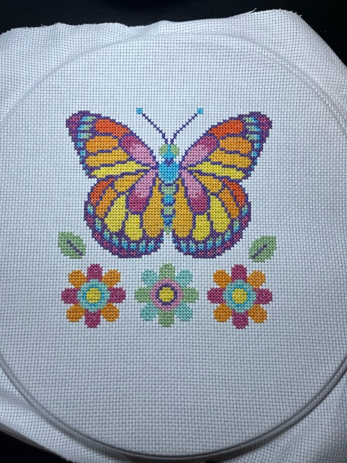 Speedran The Butterfly Cross Stitch To Go With My Dragonfly